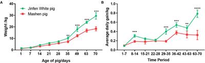 Composition of the Fecal Microbiota of Piglets at Various Growth Stages